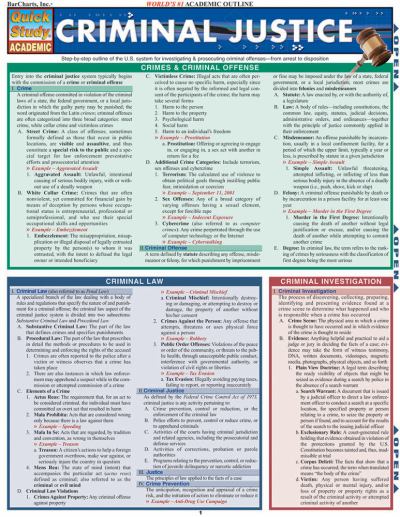 Academic essay criminal justice