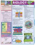Biology Basic Principles Of Biology
