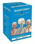 Anatomy 2 Flash Cards (300 Cards)