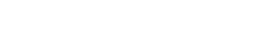 SDCCE Store logo