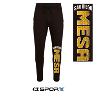 Mesa Flywheel Premium Jogger