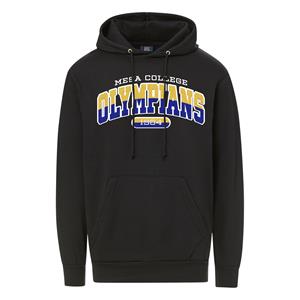 MESA TWO-TONE CHENILLE APPLIQUE HOODIE